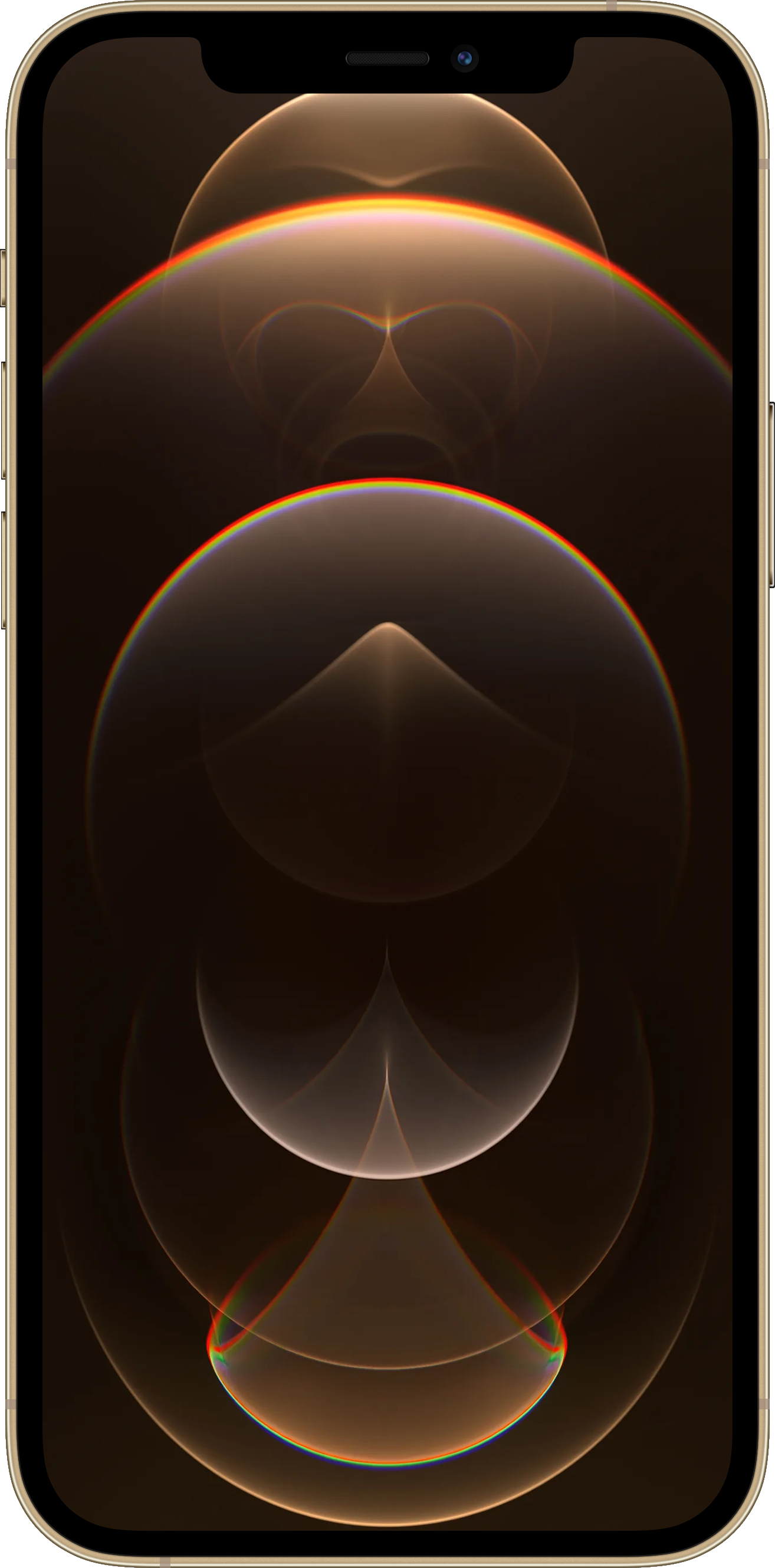 iPhone 12 Pro 256GB Gold (LCD)