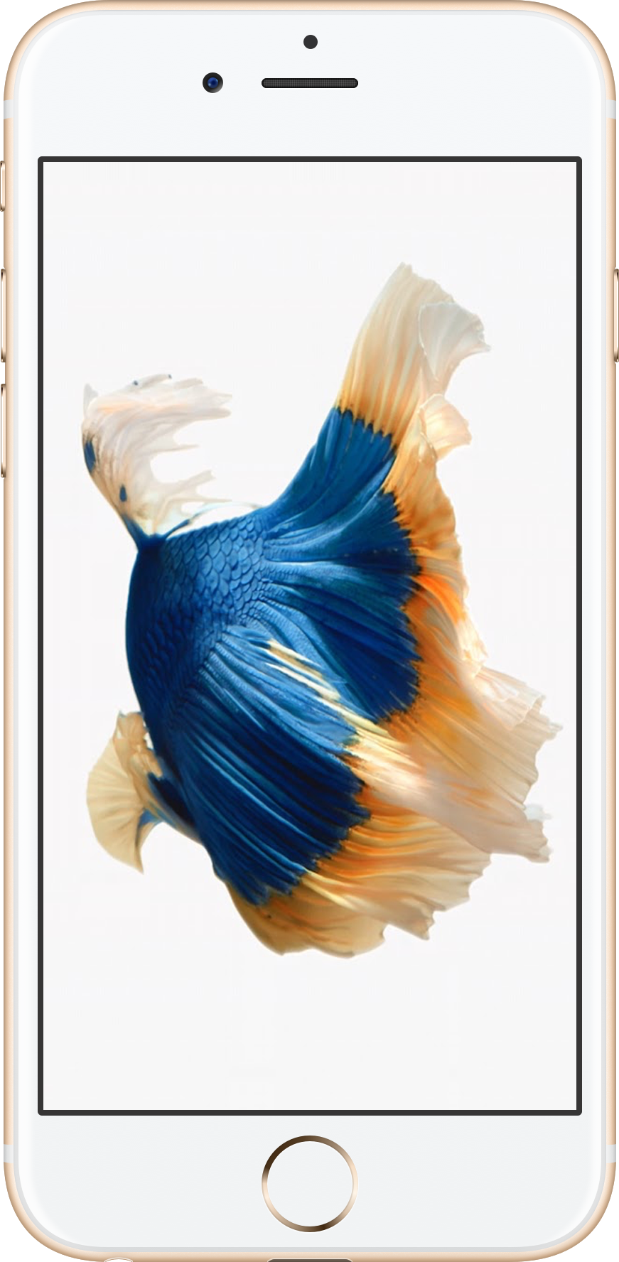iPhone 6s 64GB Gold