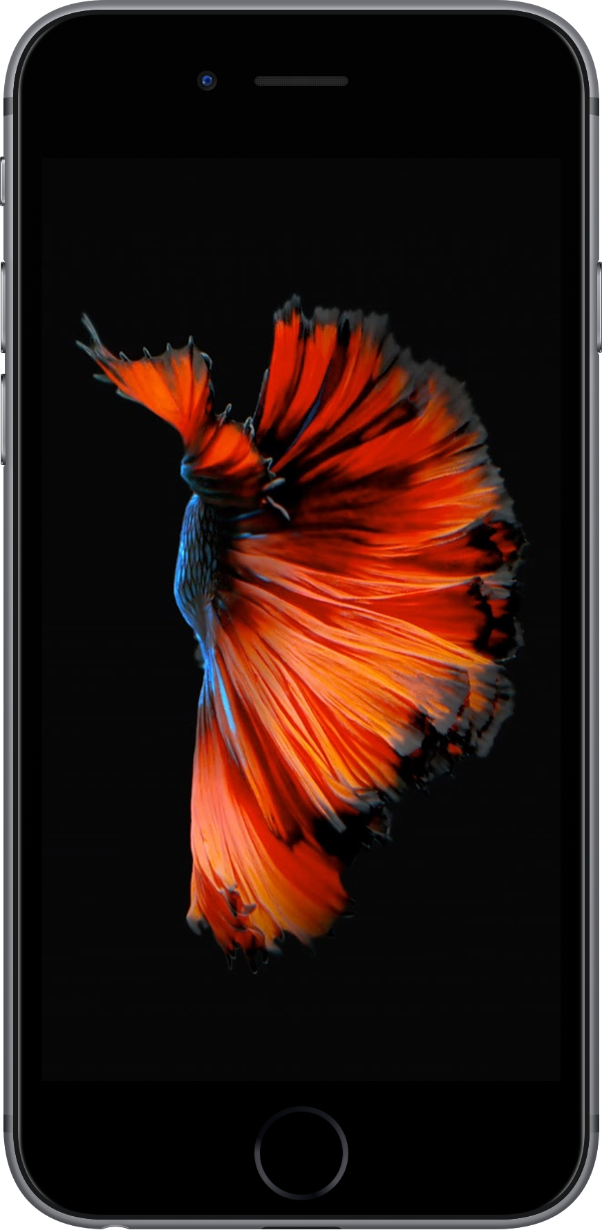 iPhone 6S 32GB Gray