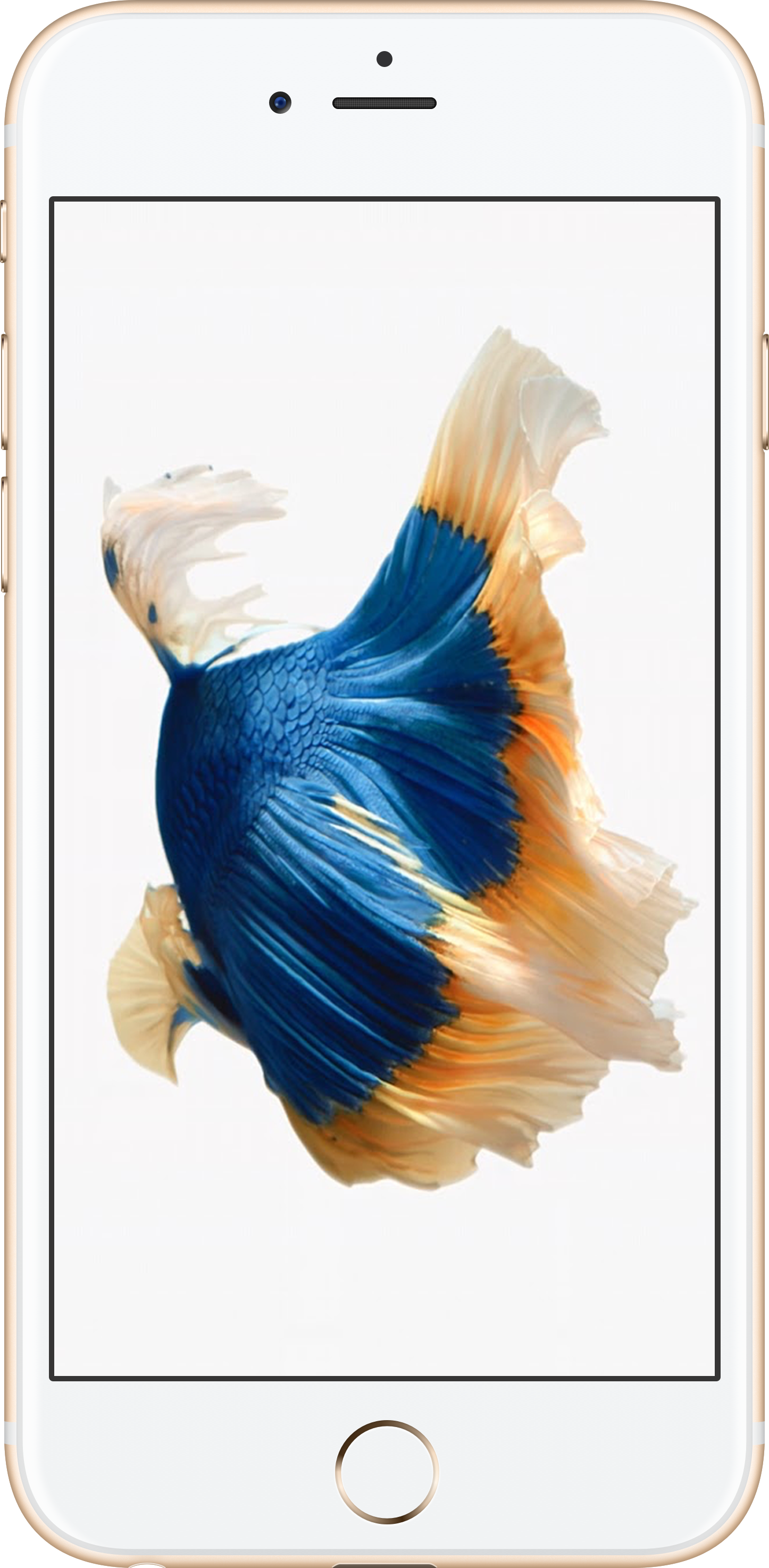 iPhone 6S+ 64GB Gold