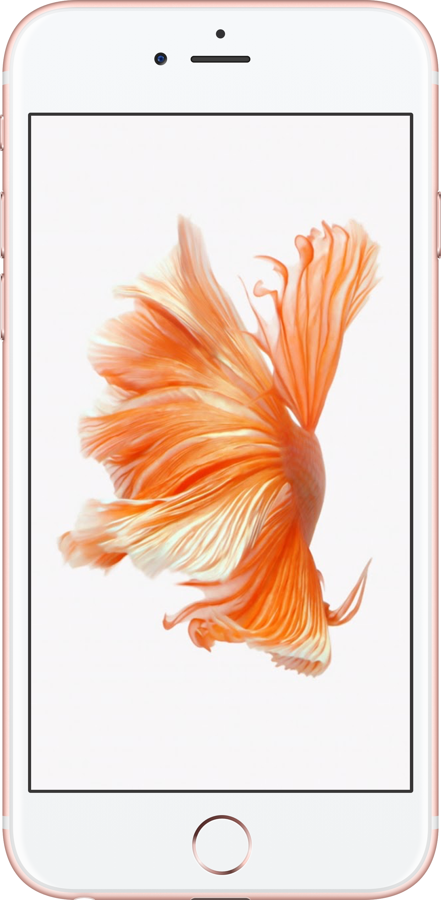 iPhone 6S+ 64GB Rose