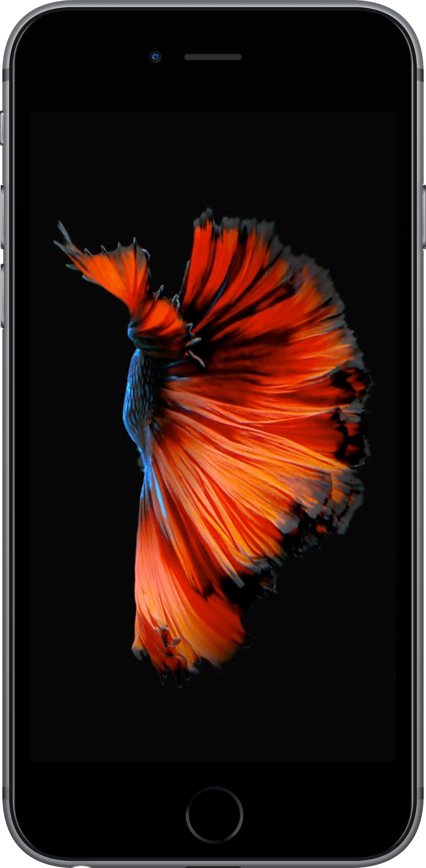 iPhone 6s+ 16GB Gray